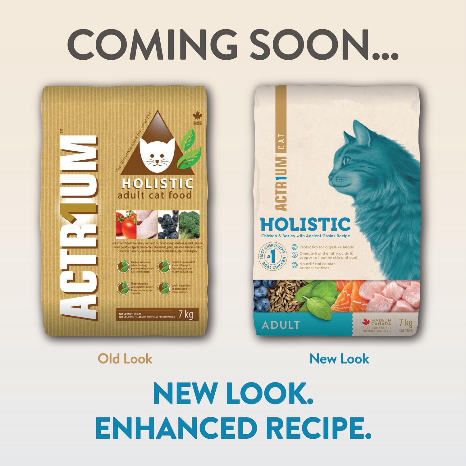 ACTR1UM Holistic Adult CAT Dry CAT Food Walmart