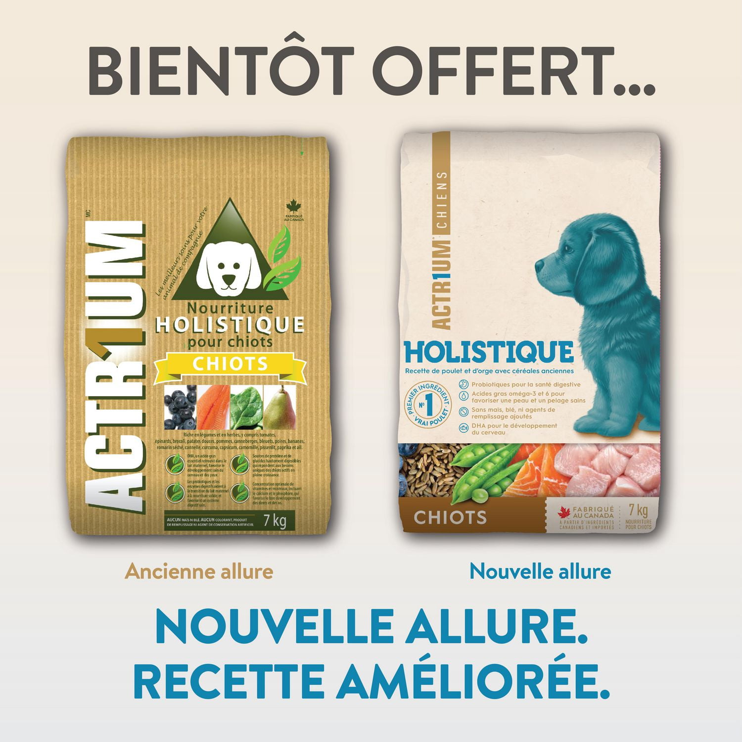 Holistic dog outlet care