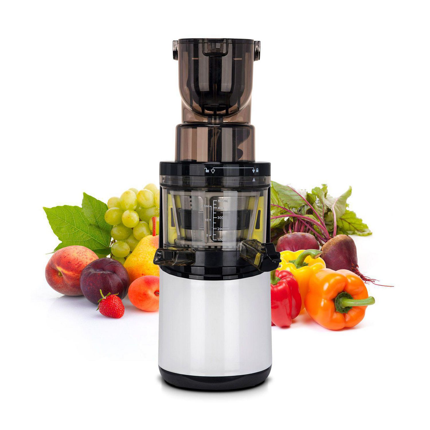 Biochef atlas whole slow cheap juicer