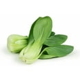 thumbnail image 1 of Shanghai bok choy JR, 1 of 1