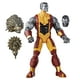 Marvel X-Men Legends Series  - Figurine Marvel's Colossus de 15 cm – image 1 sur 3