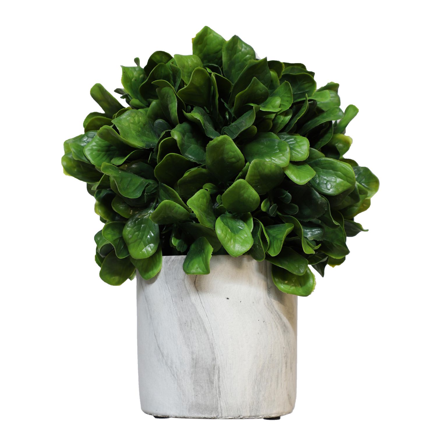 Danson Decor 9" potted plastic Bay leaf foliage Walmart Canada