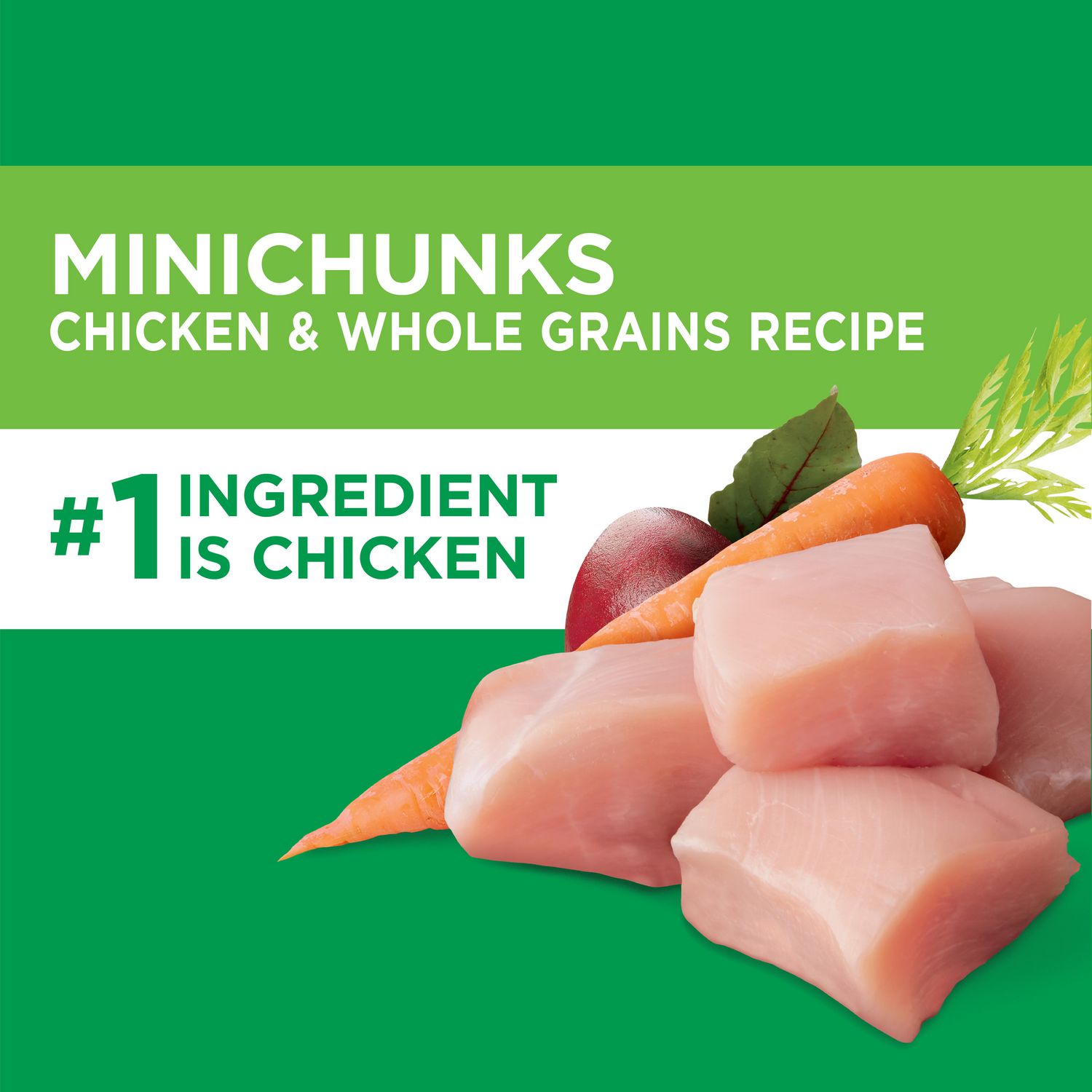 Iams Minichunks Adult Dry Dog Food Chicken Whole Grains Recipe