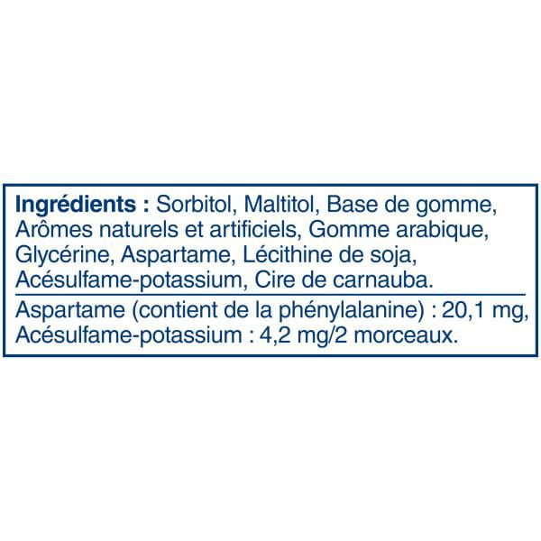 EXCEL, Menthe polaire, gomme à mâcher sans sucre, 60 morc., 1 bout. 1 bouteille, 60 morceaux
