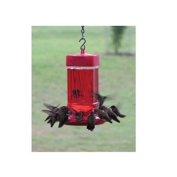 Mangeoire à colibris de 32 onces de First Nature 