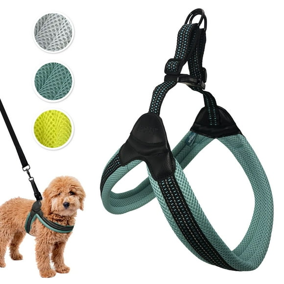 Sporn Easy-Fit Mesh Dog Harness, Breathable & Easy Dog Walking Harness, Turquoise, Large