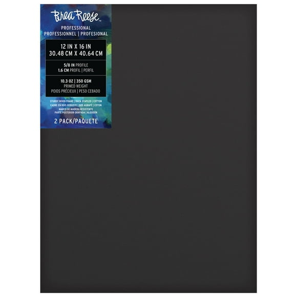 Momenta Inc Brea Reese Professional Series: 12 X 16", 2 pc: Black Canvas