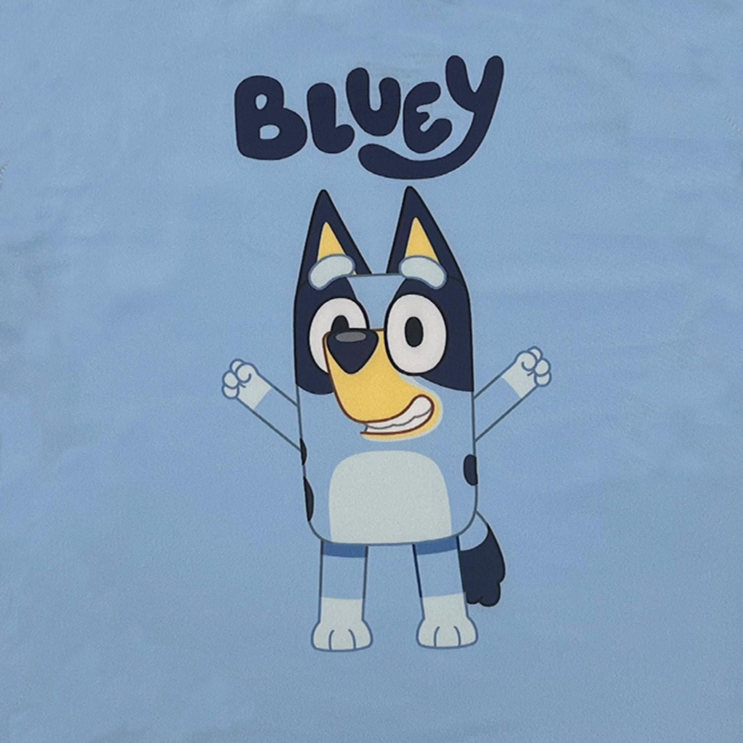 Bluey Cheers Rashguard à manches longues pour tout-petits garçons