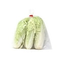 thumbnail image 1 of Bok Choy de Taïwan, 1 borsa, 0.40 - 1.00 KG, 1 of 1