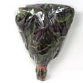 thumbnail image 1 of Amarante, 1 borsa, 0.40 - 1.00 KG, 1 of 1