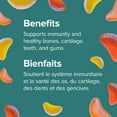 thumbnail image 3 of Webber Naturals®Vitamin C Gummies 250 Mg, 3 of 9