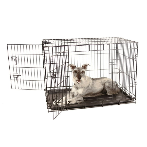Carlson Pet Products Secure And Compact Double Door Metal Dog Crate