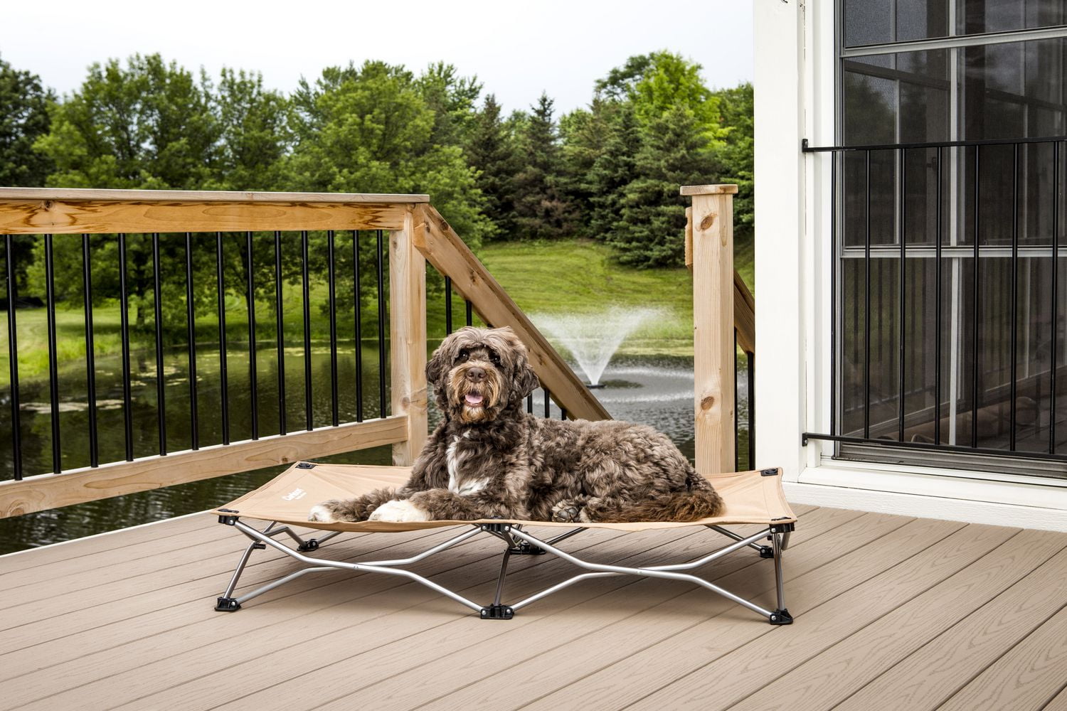 carlson pet cot