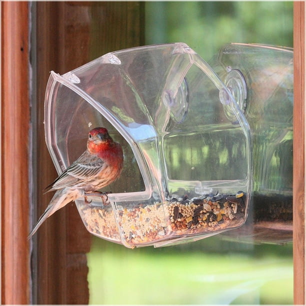 Mangeoire à oiseaux en plastique transparent avec ventouses puissantes pour  jardin extérieur，Superma