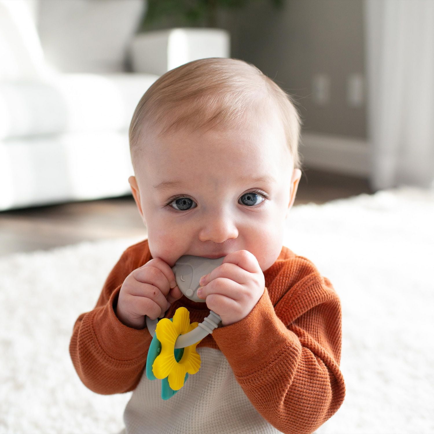 Dr. Brown’s® Learning Loop Silicone Ring Teether, Fox, 3 months+