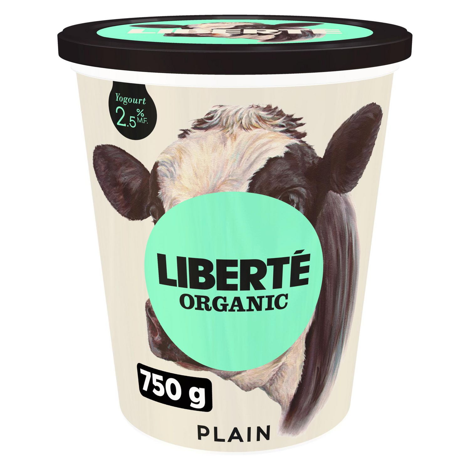 LIBERTÉ Organic Plain 2.5 MF Yogurt Walmart Canada