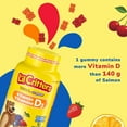 thumbnail image 3 of Gummies de vitamine D3 pour enfants Lil Critters - Dose quotidienne de 800 UI de vitamine D3, 190 pièces, 3 of 5