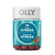 Supplément Olly Moins de Stress Baies et Citronelle 21 jours de supplément – image 1 sur 8