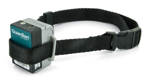 Guardian shock hotsell collar walmart