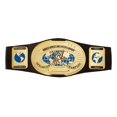 thumbnail image 1 of WWE Championship Title Belt, 1 of 1