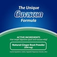 thumbnail image 2 of GAVISCON NAUSEA GINGER TAB, 2 of 5