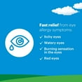 thumbnail image 3 of Claritin Allergy Eye Drops, Preservative-Free, Fast and Long-Lasting Relief, 3 of 9