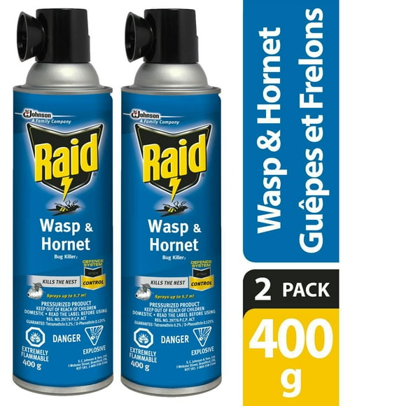 Raid Wasp and Hornet Insect Killer Spray, Kills Bugs on Contact, For Outdoor Use, 2 Pack, 2 x 400g
