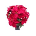 thumbnail image 1 of Holiday time Poinsettia Pot, 1 of 1