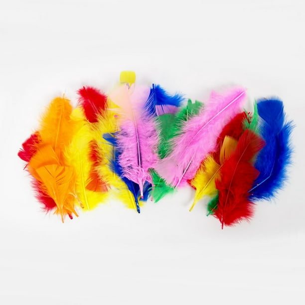Time 4 Crafts Arts and Craft Assorted Feathers Walmart.ca