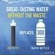 Filtres pour les systèmes de filtration en bouteille, paq. de 2 – image 4 sur 6