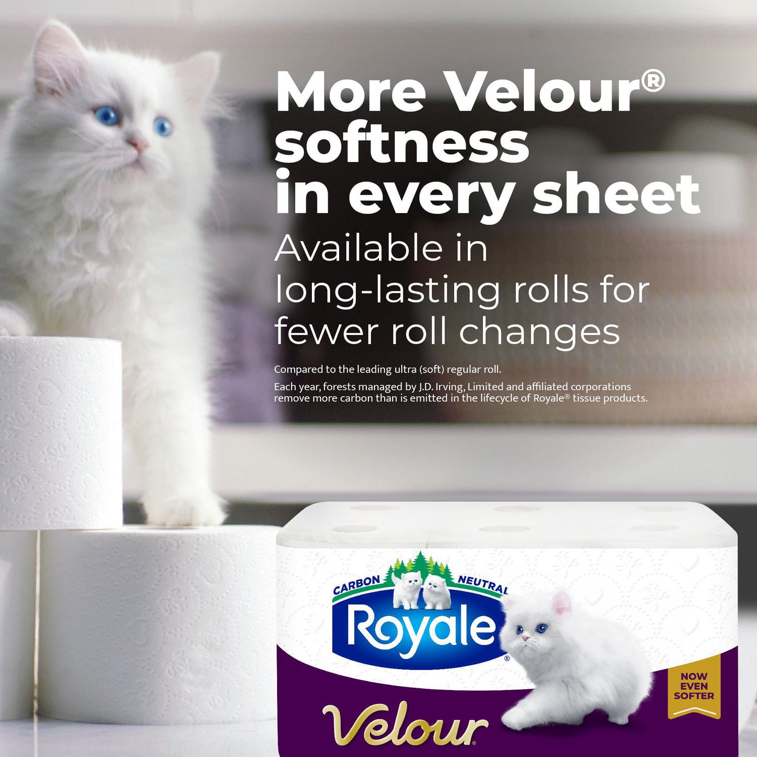 Royale Velour Toilet Paper, 24 Equal 48 Bathroom tissue rolls, 2