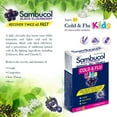 thumbnail image 3 of Sambucol Jr Chew Cold and Flu, 3 of 4