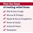 thumbnail image 3 of Buckley’s Complete® Mucus Relief Cough Cold & Flu, 3 of 5
