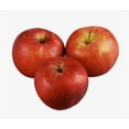 thumbnail image 4 of Pommes Gala biologiques Mon marché fraîcheur Sac de 2 lb, 4 of 8
