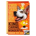 thumbnail image 1 of Hallmark Birthday Card (Card Inside a Card), 1 of 9
