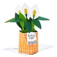 thumbnail image 1 of Hallmark Paper Wonder Pop Up Card (Potted Peace Lily), 1 of 6
