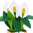 thumbnail image 4 of Hallmark Paper Wonder Pop Up Card (Potted Peace Lily), 4 of 6