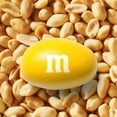 thumbnail image 2 of M&M'S, Peanut Milk Chocolate Candies, Snacking Bag, 100g, 2 of 6