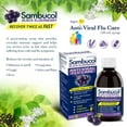 thumbnail image 3 of Sambucol Original Family Syrup Anti Viral Flu Care 230ml, 3 of 8