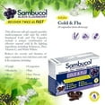 thumbnail image 3 of Sambucol Cold And Flu 24ct, 3 of 5