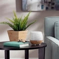 thumbnail image 5 of Ellia Ascend Ultrasonic Aroma Diffuser Bundle with 15ml Essential Oil - White, 5 of 5