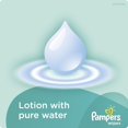 thumbnail image 3 of Pampers Baby Fresh Wipes Travel Pack, 3 of 3