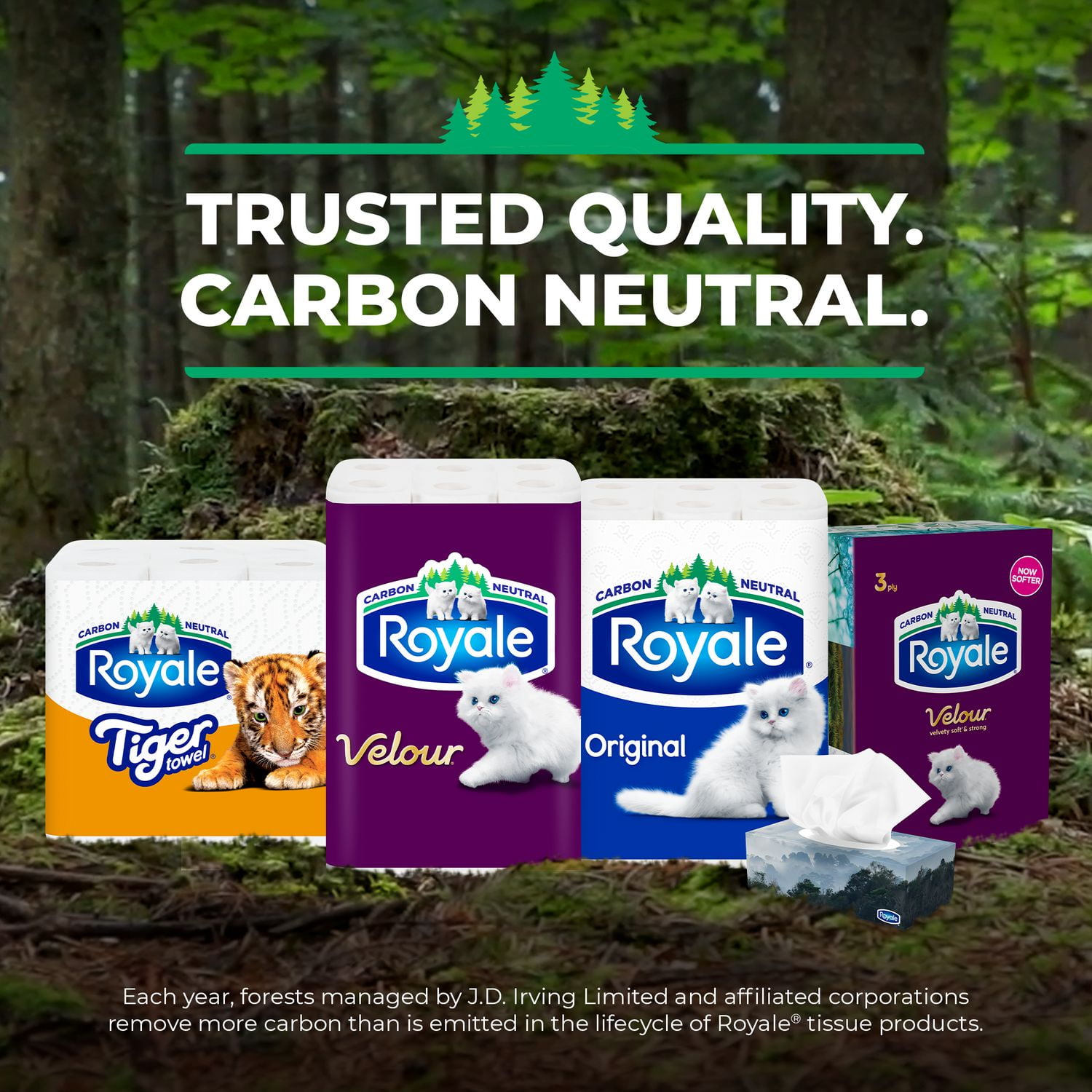 Royale Original Facial Tissue, 6 Flat Boxes, 126 Tissues per box, 2-Ply, 756 Tissues