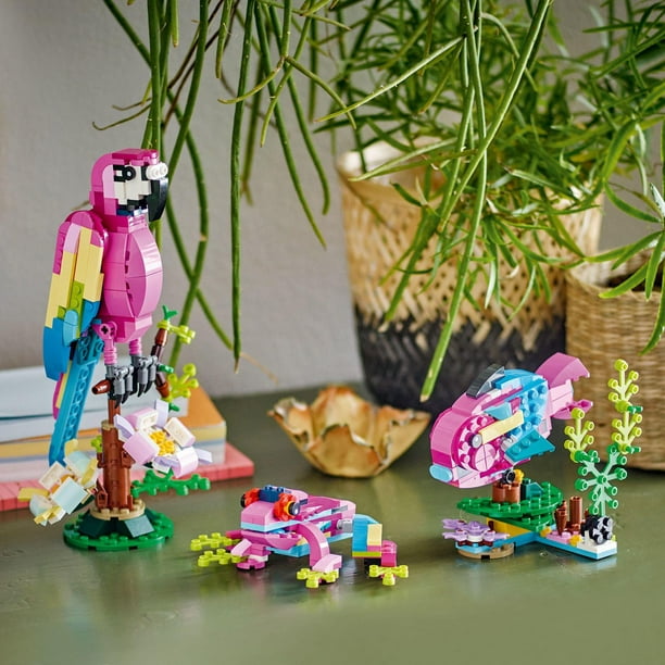 LEGO Creator Le perroquet exotique 31136 (253 pièces) Ensemble de jeu de  construction