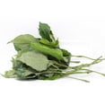 thumbnail image 1 of Feuilles De Poche, 1 paquet, 0.05 - 0.20 KG, 1 of 1