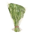 thumbnail image 1 of Vert Ton Choy, 1 sac, 0.30 - 1.00 KG, 1 of 1