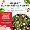 thumbnail image 2 of Fresh Attitude Single Salad Kit Spring Mix with Toppings, READY-TO-EAT SALAD, 2 of 7