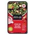 thumbnail image 1 of Fresh Attitude Family Salad Kit Spring Mix with Toppings, READY-TO-EAT SALAD, 1 of 6