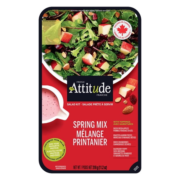 Fresh Attitude Family Salad Kit Spring Mix with Toppings, READY-TO-EAT SALAD