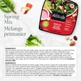 thumbnail image 3 of Fresh Attitude Single Salad Kit Spring Mix with Toppings, READY-TO-EAT SALAD, 3 of 7